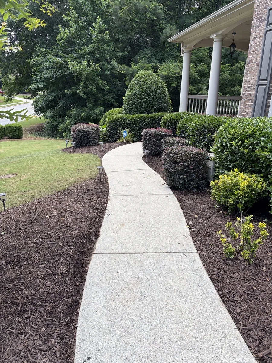 Walkway after pressure washing