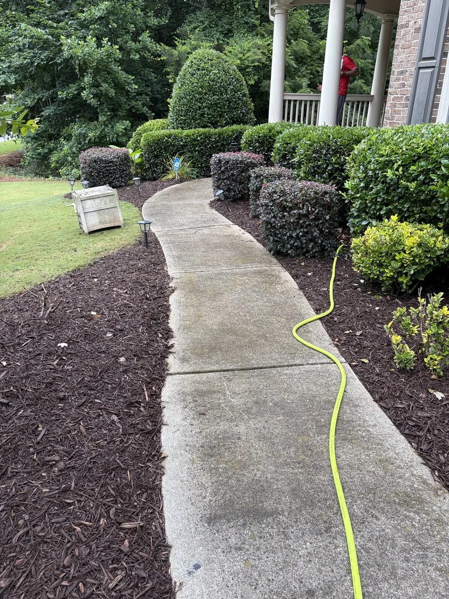 Walkway before pressure washing